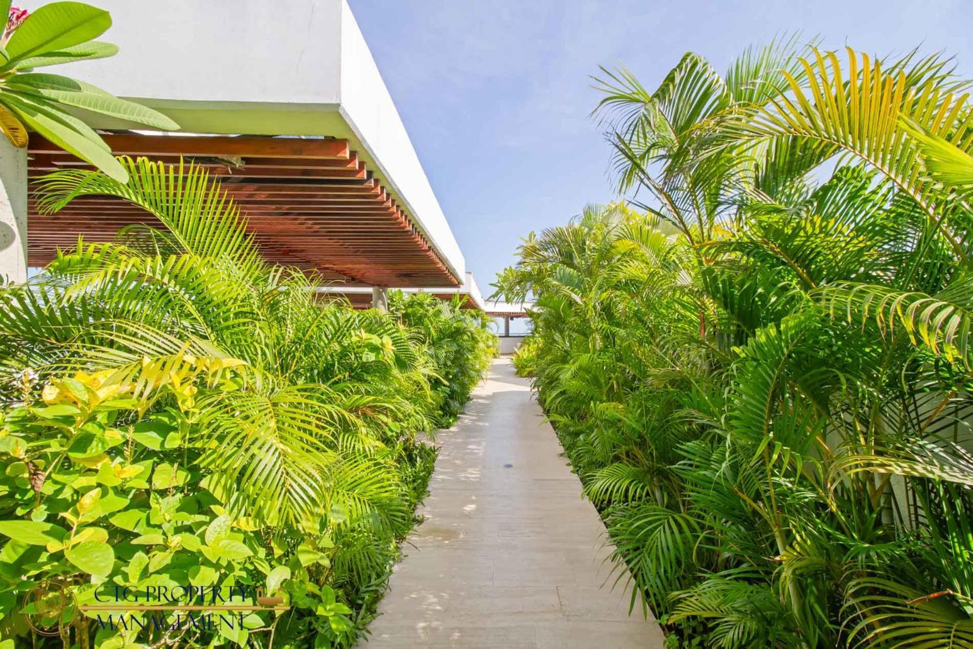 Martinique Cartagena, Beautiful 1 & 2 Bedroom Apartments エクステリア 写真